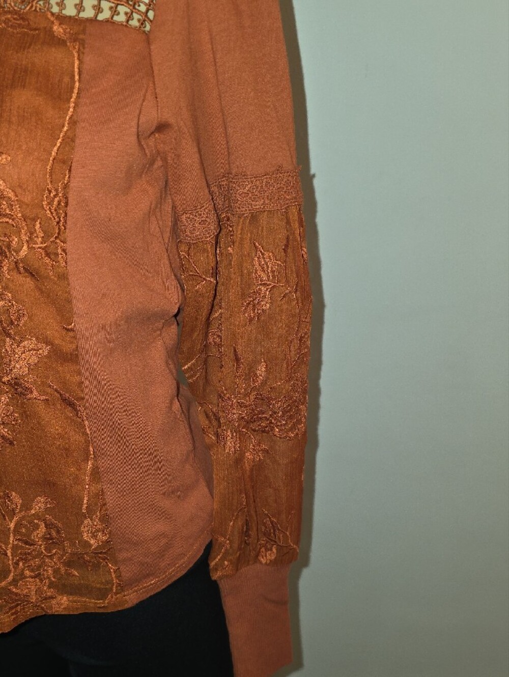 Anthropologie Embroidered Lace Yoke Blouse in Rust - Picture 3 of 9